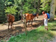 220612_Dimanche-063.jpg