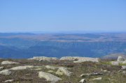 220611_Samedi035.jpg