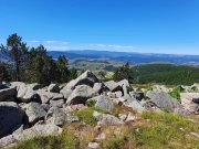 220611_Samedi035D.jpg
