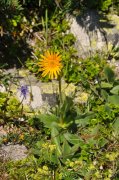 220611_Samedi056.jpg