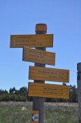 220611_Samedi061.jpg
