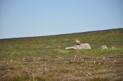 220611_Samedi064.jpg