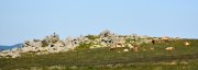 220611_Samedi065-2.jpg