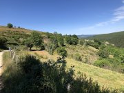 220611_Samedi073A.jpg