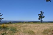 220610_Vendredi026.jpg
