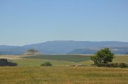 220610_Vendredi036.jpg