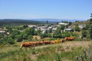 220610_Vendredi038.jpg