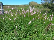 220610_Vendredi051A.jpg
