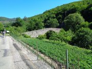 220529_Alzon001.jpg