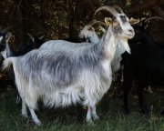 220529_Alzon012.jpg
