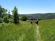 220529_Alzon018.jpg