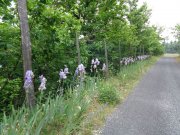 220523_Aulas002.jpg