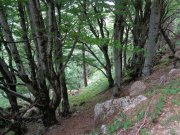 220523_Aulas005.jpg