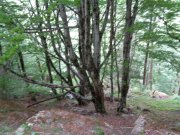 220523_Aulas006.jpg