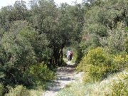 220509_St-Baudille002.jpg