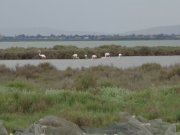 220505_Mauguio007B.jpg
