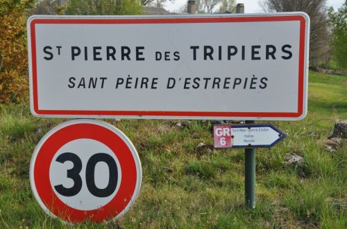 Cliquer pour voir l'image en taille réelle