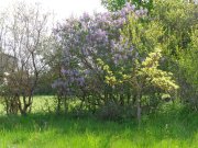 220502_Lundi026.jpg