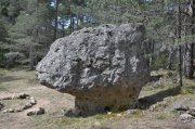 220502_Lundi048.jpg