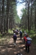 220502_Lundi069.jpg