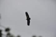 220502_Lundi079.jpg
