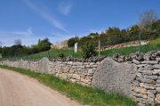 220501_Dimanche037.jpg