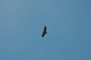 220501_Dimanche039.jpg