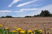 220501_Dimanche047.jpg