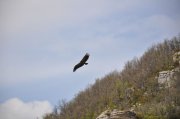 220501_Dimanche062.jpg