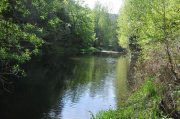 220501_Dimanche068.jpg