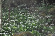 220501_Dimanche069.jpg