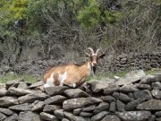 220428_Salagou032.jpg