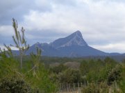 220407_Fontanes006B.jpg