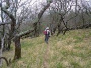 220411_Cezas001.jpg