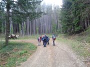 220411_Cezas002.jpg