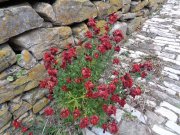 220411_Cezas013.jpg