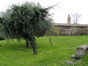 220411_Cezas016.jpg