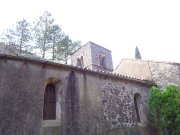 220221_Nize001.jpg