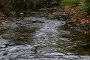 220221_Nize005.jpg