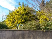 220217_Verargues003.jpg