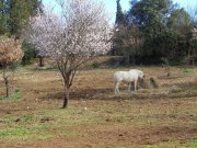 220217_Verargues004.jpg