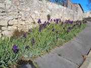 220217_Verargues013.jpg