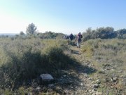 220127_St-Vin013.jpg