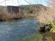 220110_Causse001.jpg