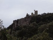 220110_Causse003.jpg