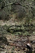 220110_Causse009.jpg