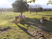 220110_Causse022.jpg