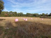 211220_St-Vincent002.jpg
