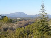 211220_St-Vincent006.jpg