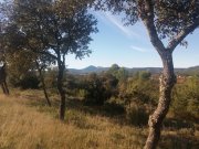 211118_Cammaous001.jpg